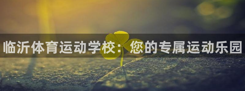 vsport体育官网下载招商电话号码查询：临沂体育运动学校：