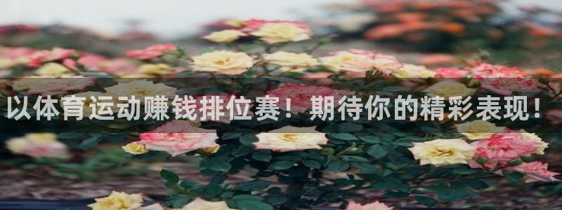 vsport体育官网下载平台是正规平台吗安全吗：以体