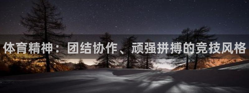 海南vsport体育官网下载：体育精神：团结协作、顽
