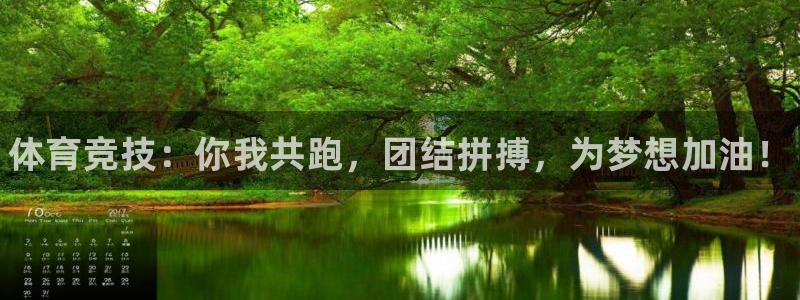 vsport体育官方正版app娱乐首页网站大全