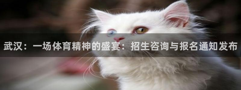 vsport体育官网下载平台注册流程视频：武汉：一场