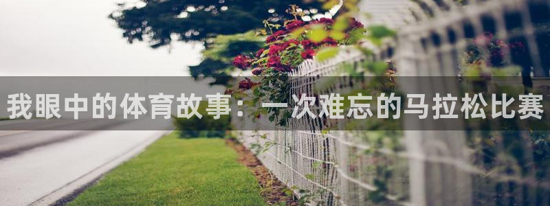 vsport体育官方正版app集团官网首页网址：我眼