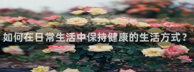 vsport体育官方正版app新能源