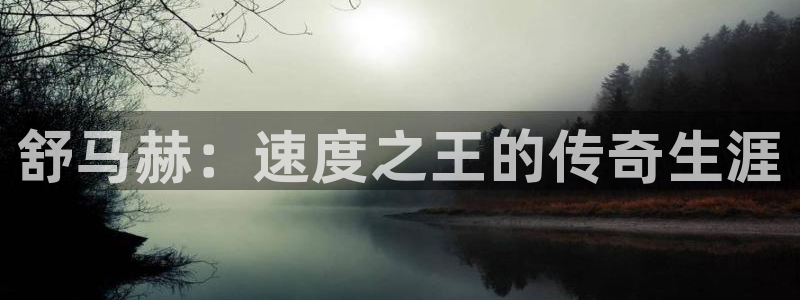 vsport体育官方正版app娱乐网站：舒马赫：速度