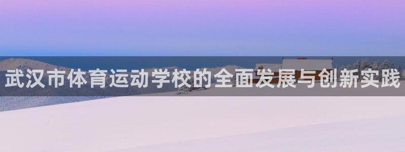vsport体育官方正版app娱乐是那个系列的台子：