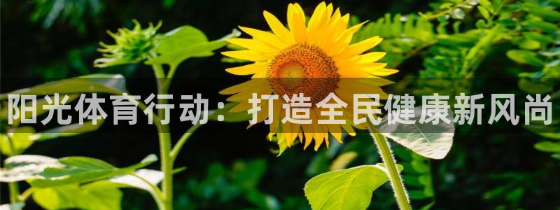 vsport体育官网下载招商电话地址查询：阳光体育行动：打造