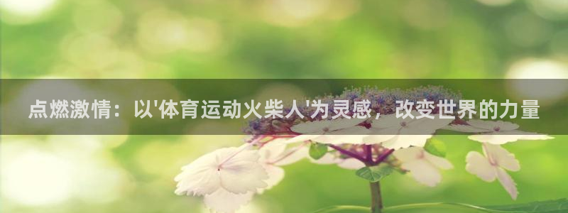 vsport体育官方正版app神州：点燃激情：以\'