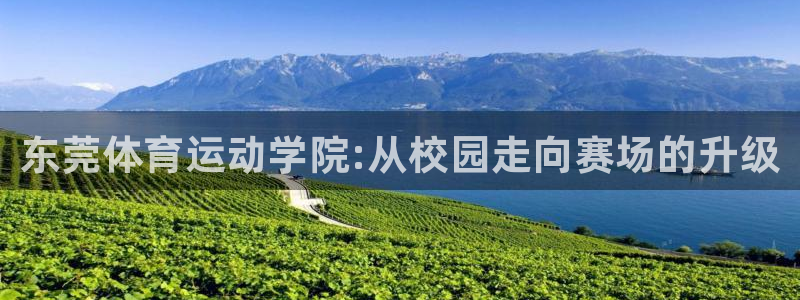 vsport体育官网下载平台注册要钱吗：东莞体育运动学院:从