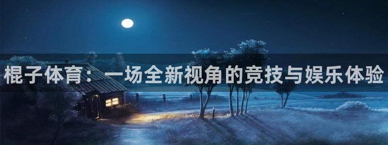vsport体育官网下载开户：棍子体育：一场全新视角的竞技与