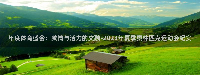 vsport体育官网下载平台注册要钱吗：年度体育盛会：激情与