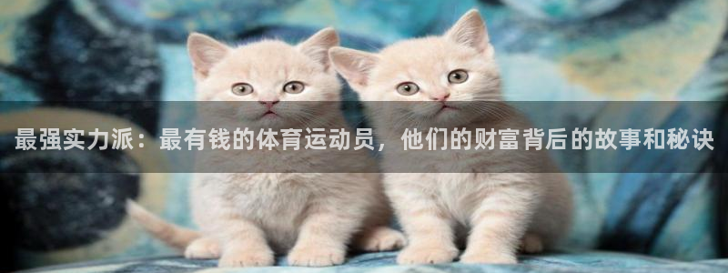 vsport体育官网下载招商：最强实力派：最有钱的体育运动员