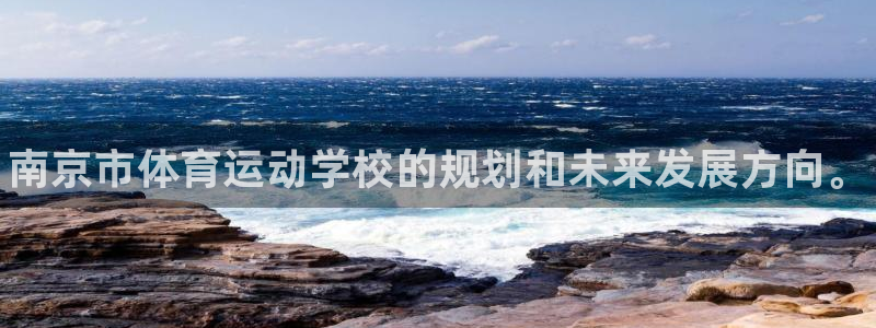 vsport体育官方正版app娱乐首页官网下载：南京