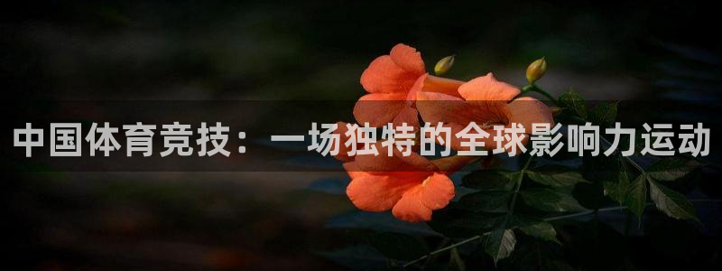vsport体育官方正版app神州：中国体育竞技：一场独特的