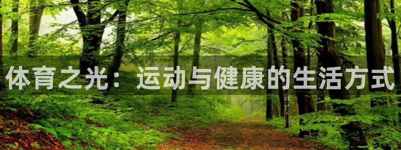 vsport体育官网下载注册：体育之光：运动与健康的生活方式
