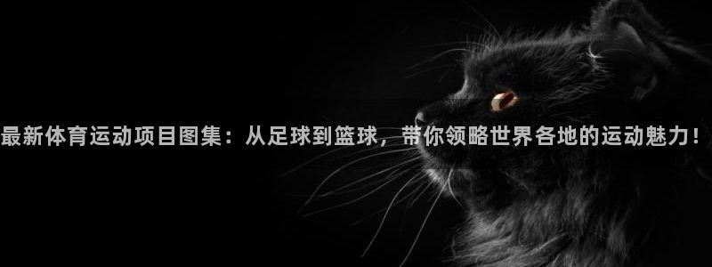 vsport体育官方正版app娱乐平台：最新体育运动项目图集