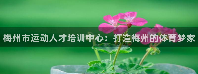 vsport体育官网下载平台是正规平台吗：梅州市运动