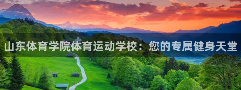 vsport体育官网下载平台假的吗是真的吗吗