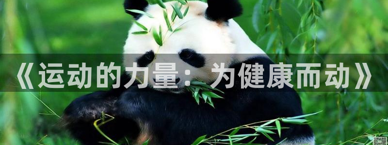 vsport体育官方正版app娱乐平台