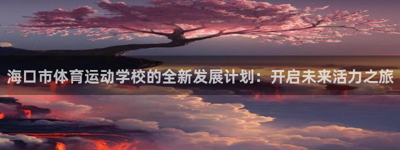 vsport体育官方正版app代理：海口市体育运动学