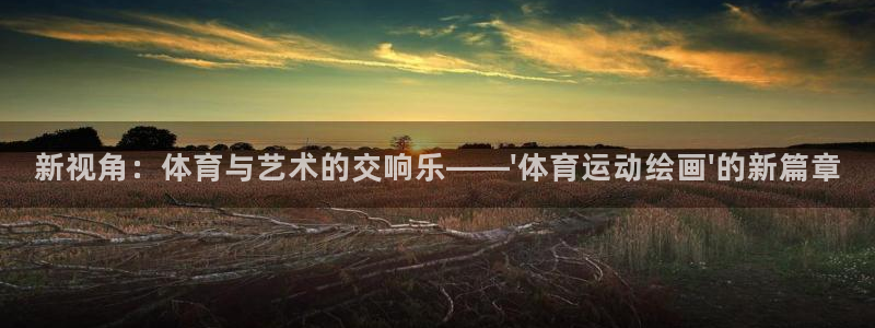 vsport体育官方正版app娱乐：新视角：体育与艺