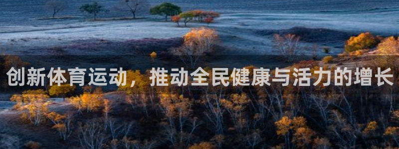 vsport体育官方正版app集团官网首页网址