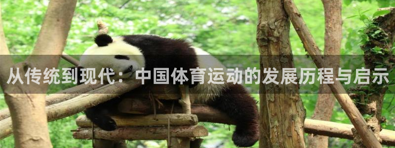 海南vsport体育官网下载发展怎么样:从传统到现代:中国体
