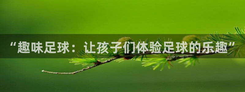 vsport体育官网下载平台是正规平台吗安全吗