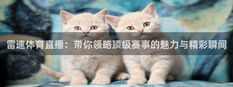 足球绿茵直播免费观看：雷速体育直播：带你领略顶级赛事的魅力与精彩瞬间