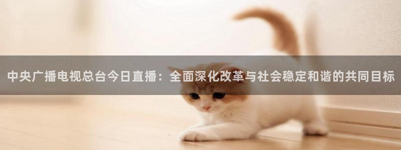 绿茵直播免费看球直播：中央广播电视总台今日直播：全面深化改革与社会稳定和谐的共同目标