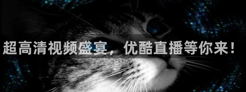 绿茵体育直播间：超高清视频盛宴，优酷直播等你来！