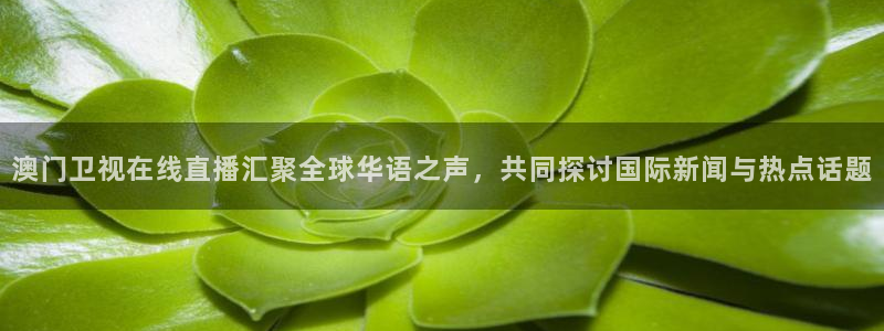 绿茵足球免费直播：澳门卫视在线直播汇聚全球华语之声，共同探讨国际新闻与热点话题